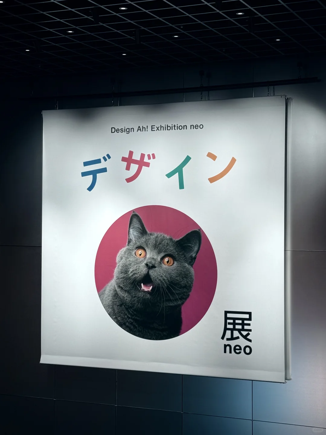 东京看展|あDesign
