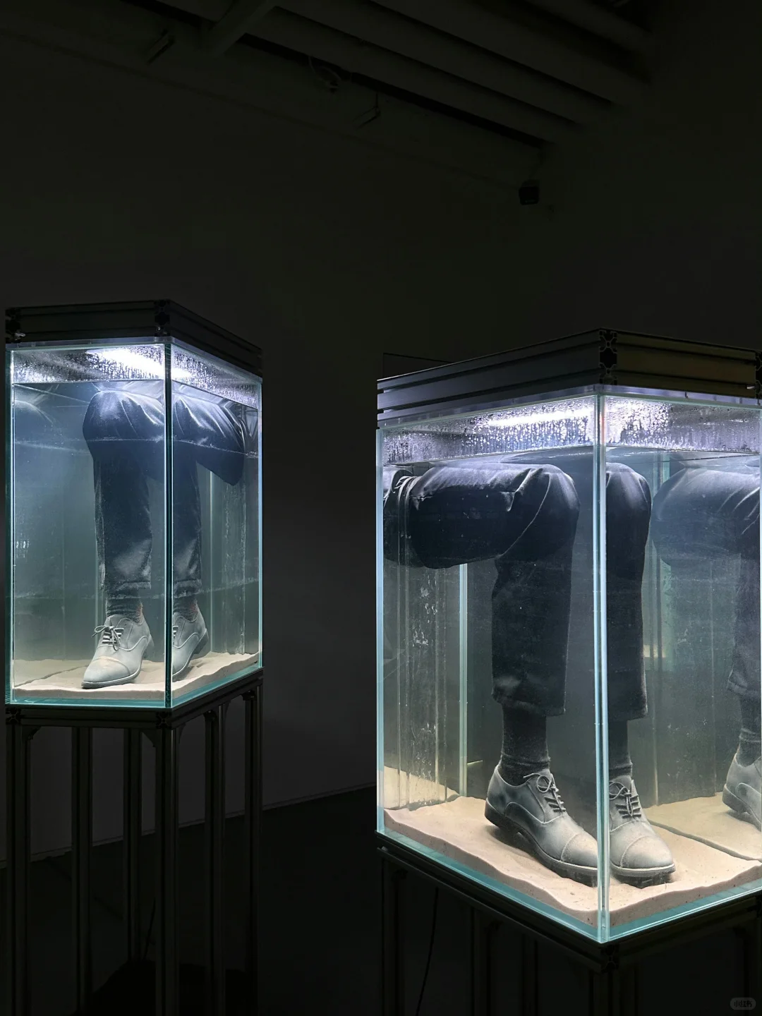 北京新展|被这个动态装置展美到失语…?