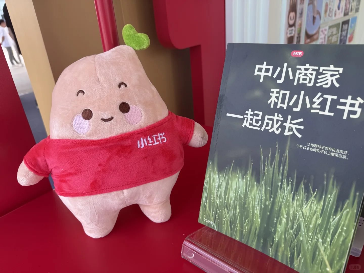 第五届中国新电商大会开幕啦～