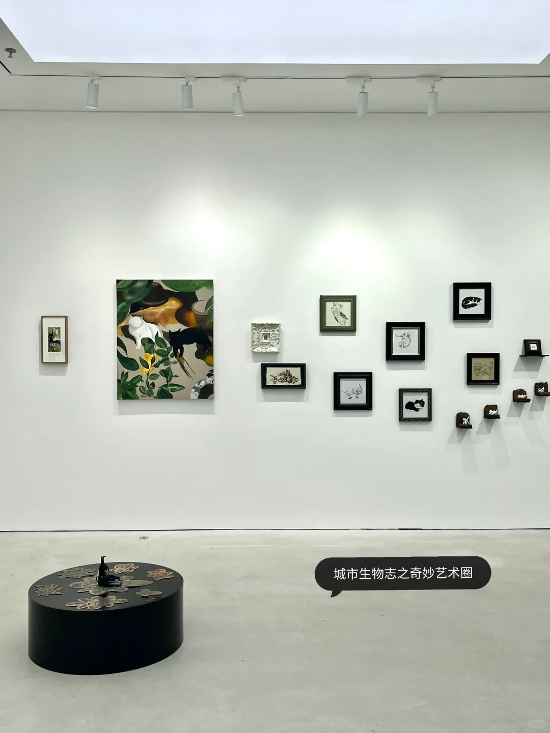 深圳7月|创意园4⃣️个免费新展?周末冲鸭!