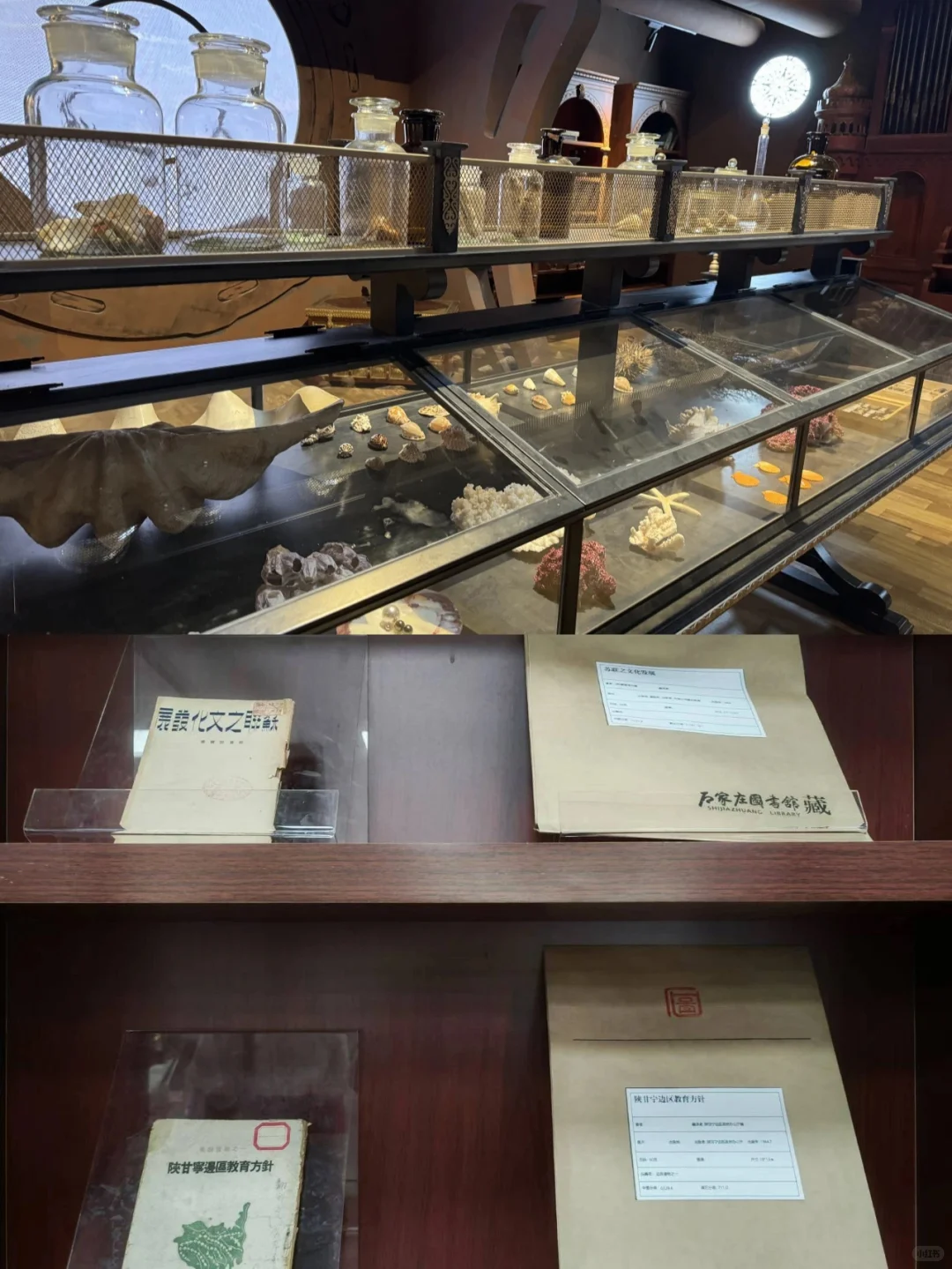石家庄暑期10个展览合集,快收藏起来吧
