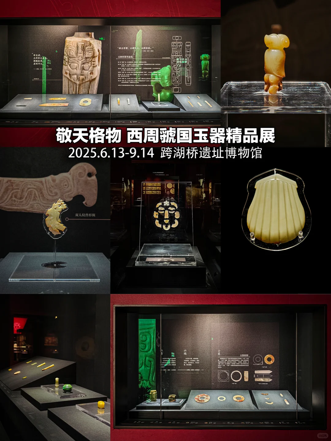 杭州8月展览|20个值得一看的免费展合集