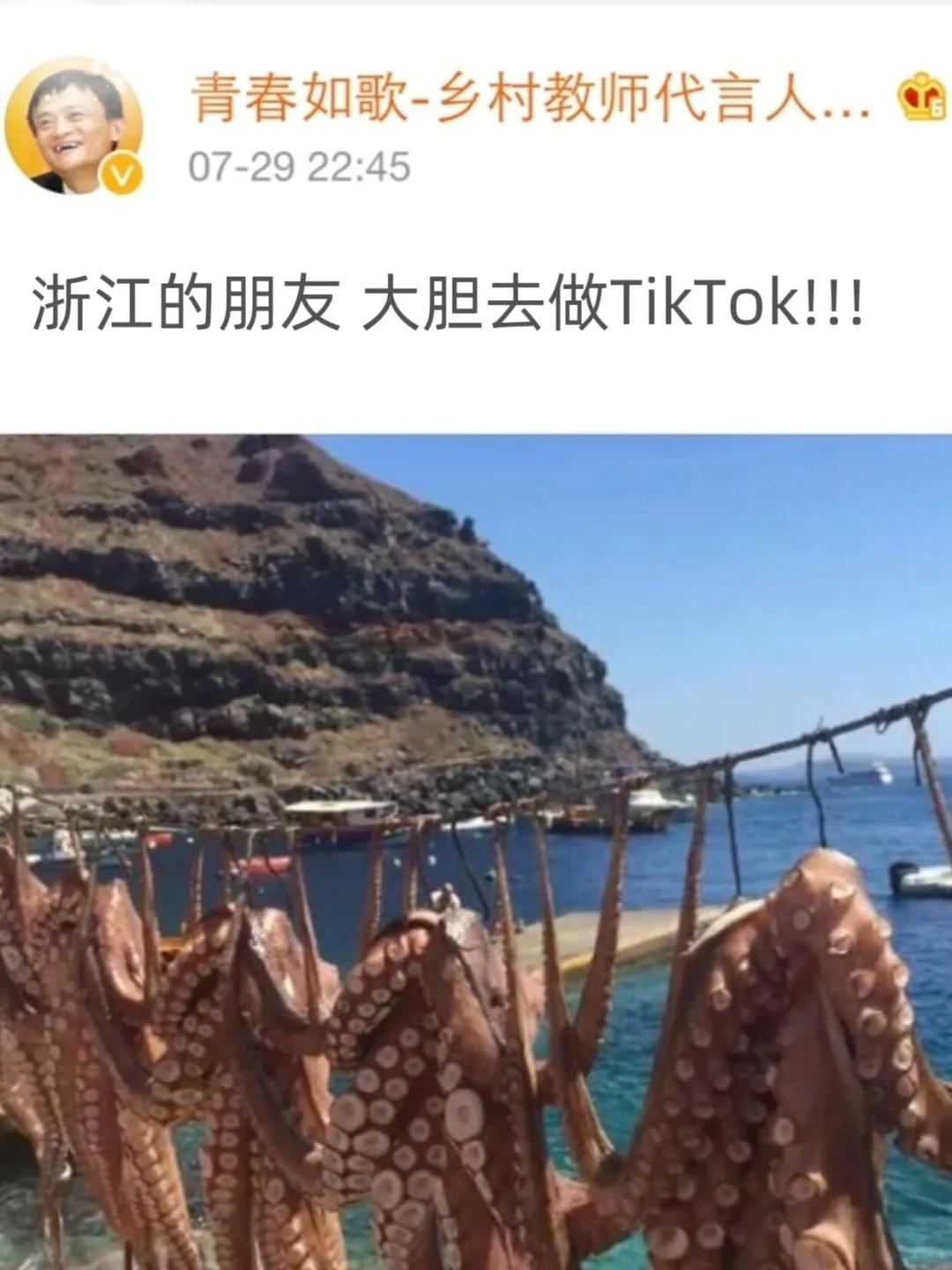 25年,浙江的风口可能就是做TikTok。。。。。。