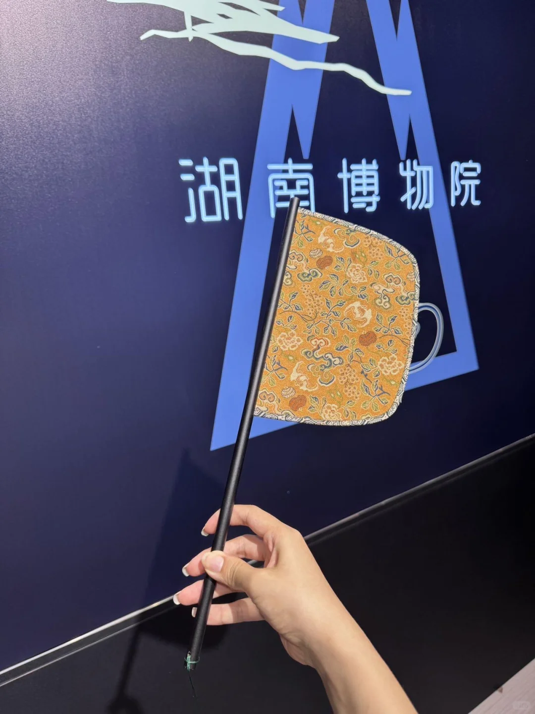 湖南省博物院最新参观指南!请一定要看完!