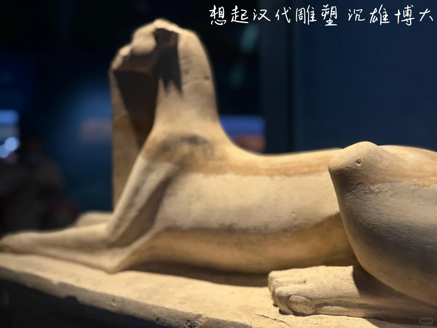 闭幕倒计时,收集一点美学视角的展品图