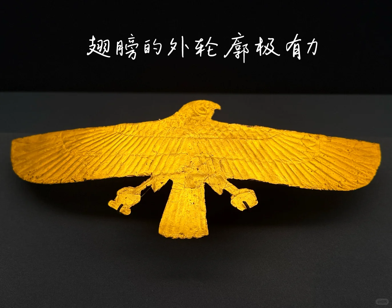 闭幕倒计时,收集一点美学视角的展品图
