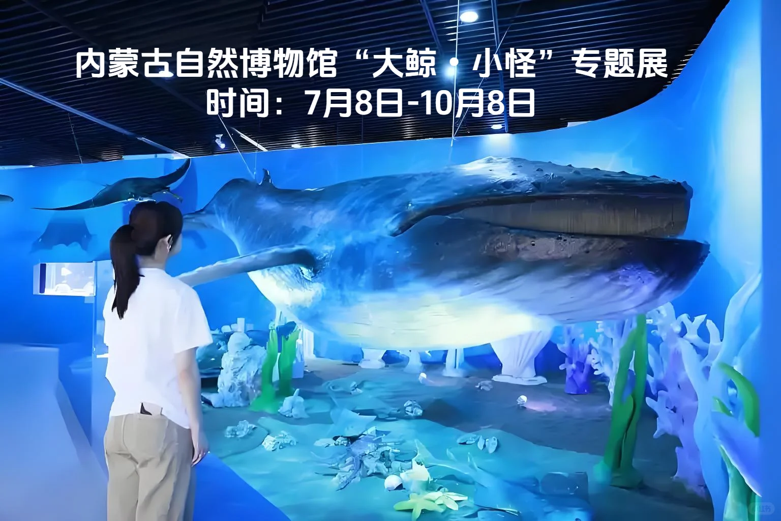 青城孩子必打卡的展览！