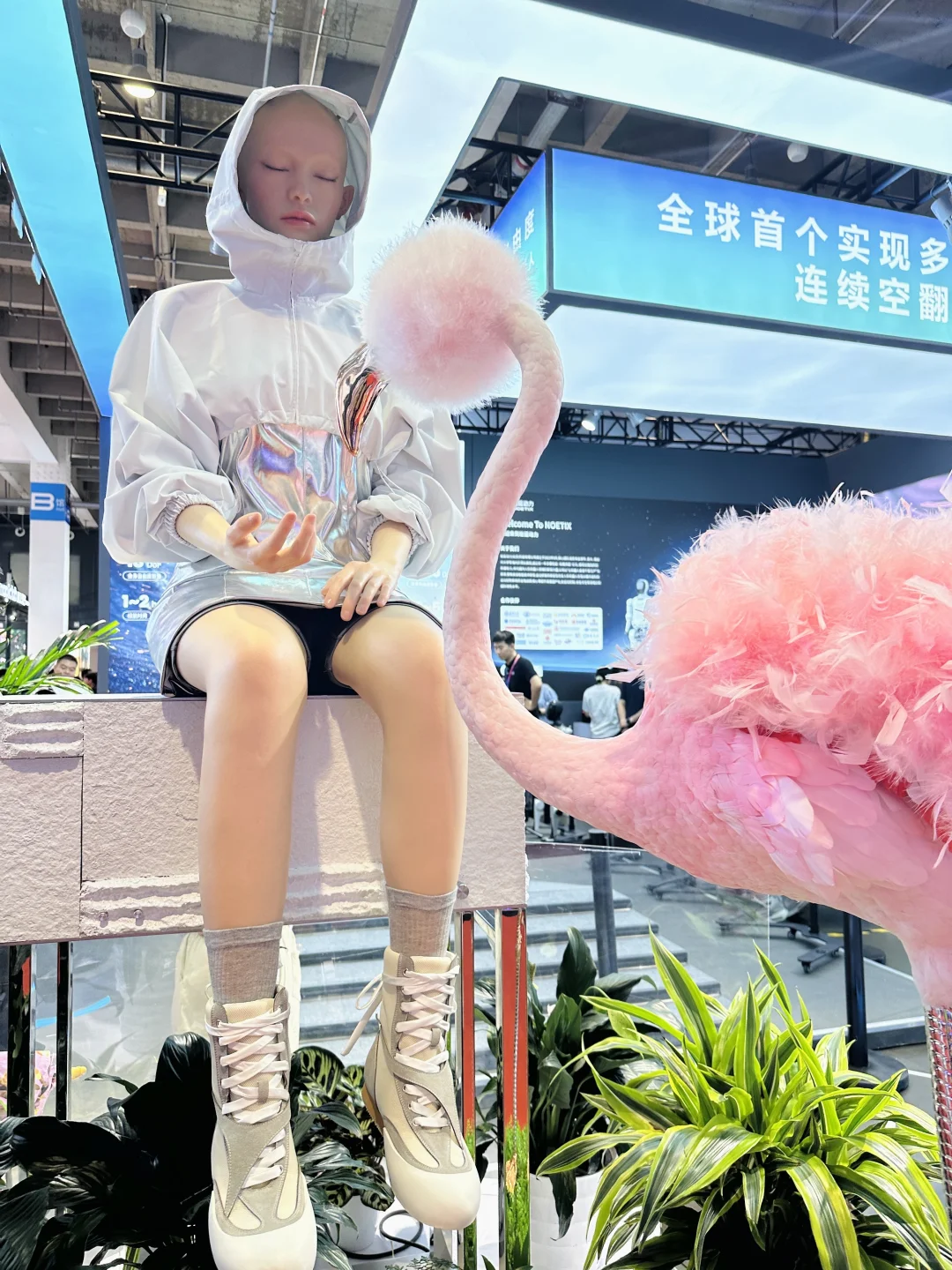 2025世界机器人大会,看这篇就够了❗️