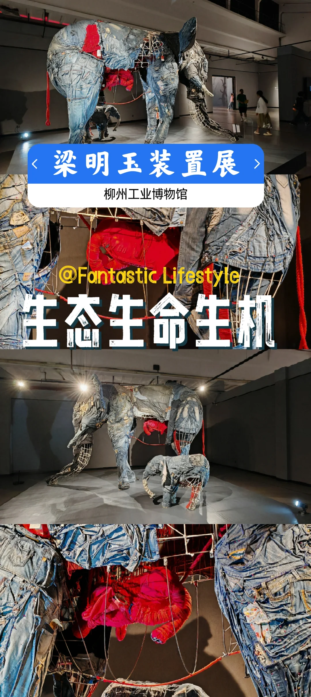 在柳州工博目前看到的最好的装置展