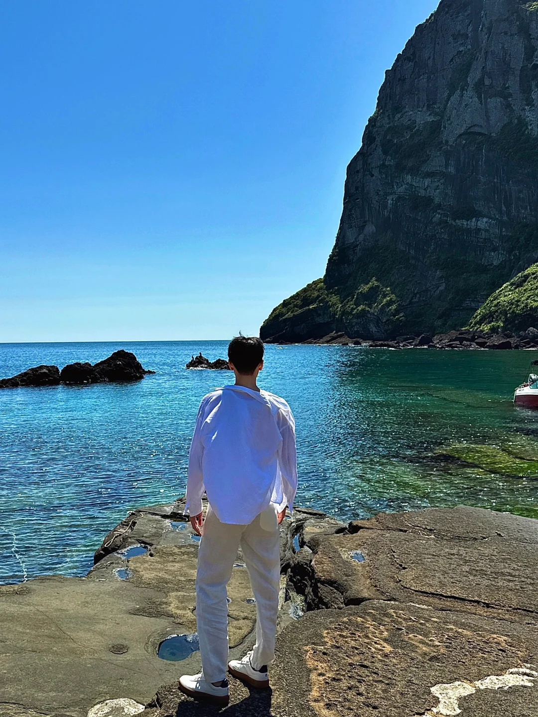 ⛰️/山海赋予济州岛的生命力