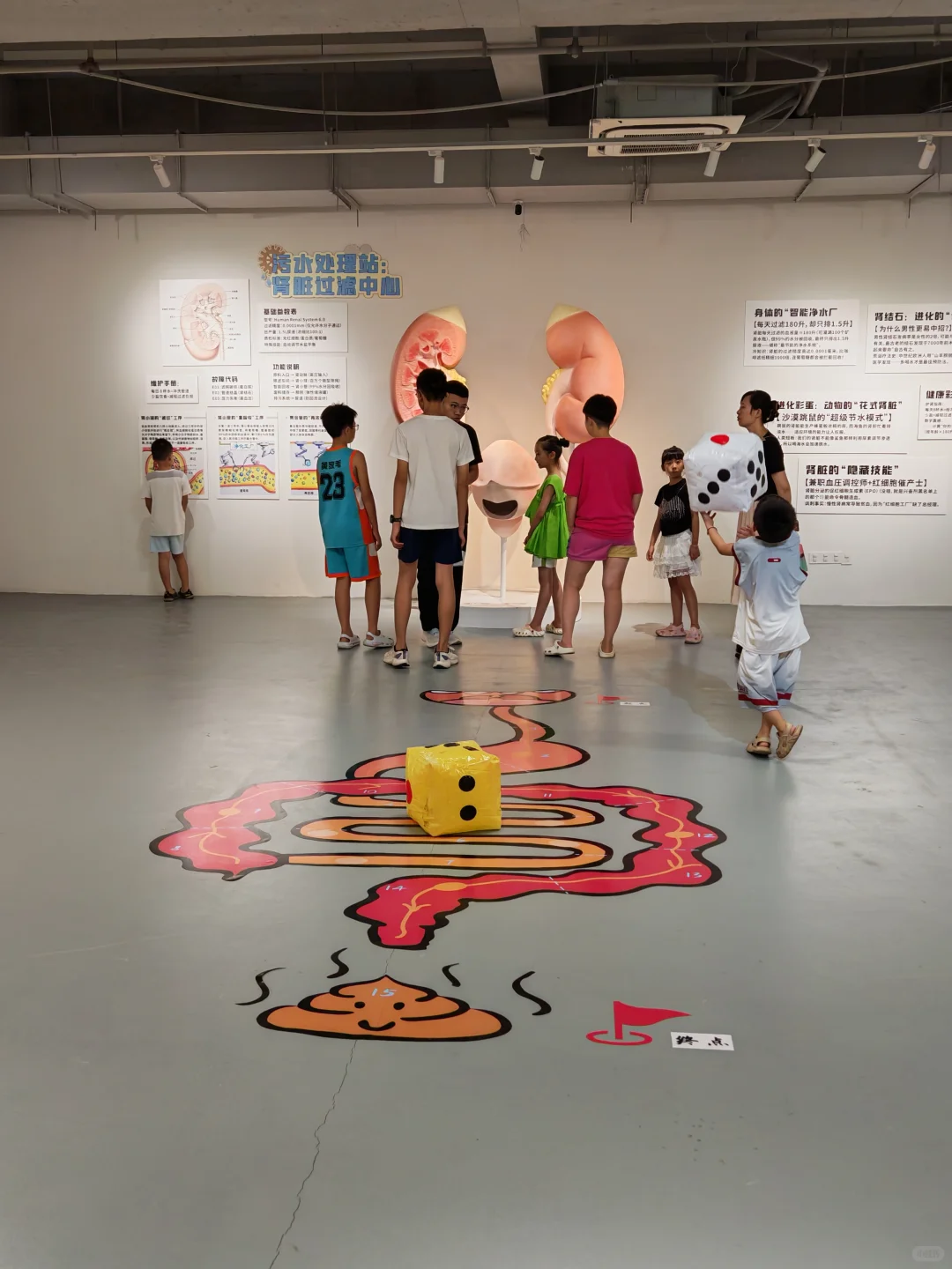 必看!《身体工厂》人体知识科普展海口首展