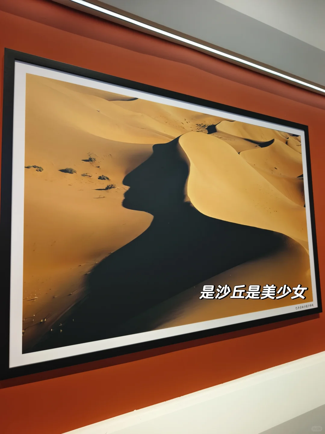 呼市新展?把沙漠地质奇观搬进城市