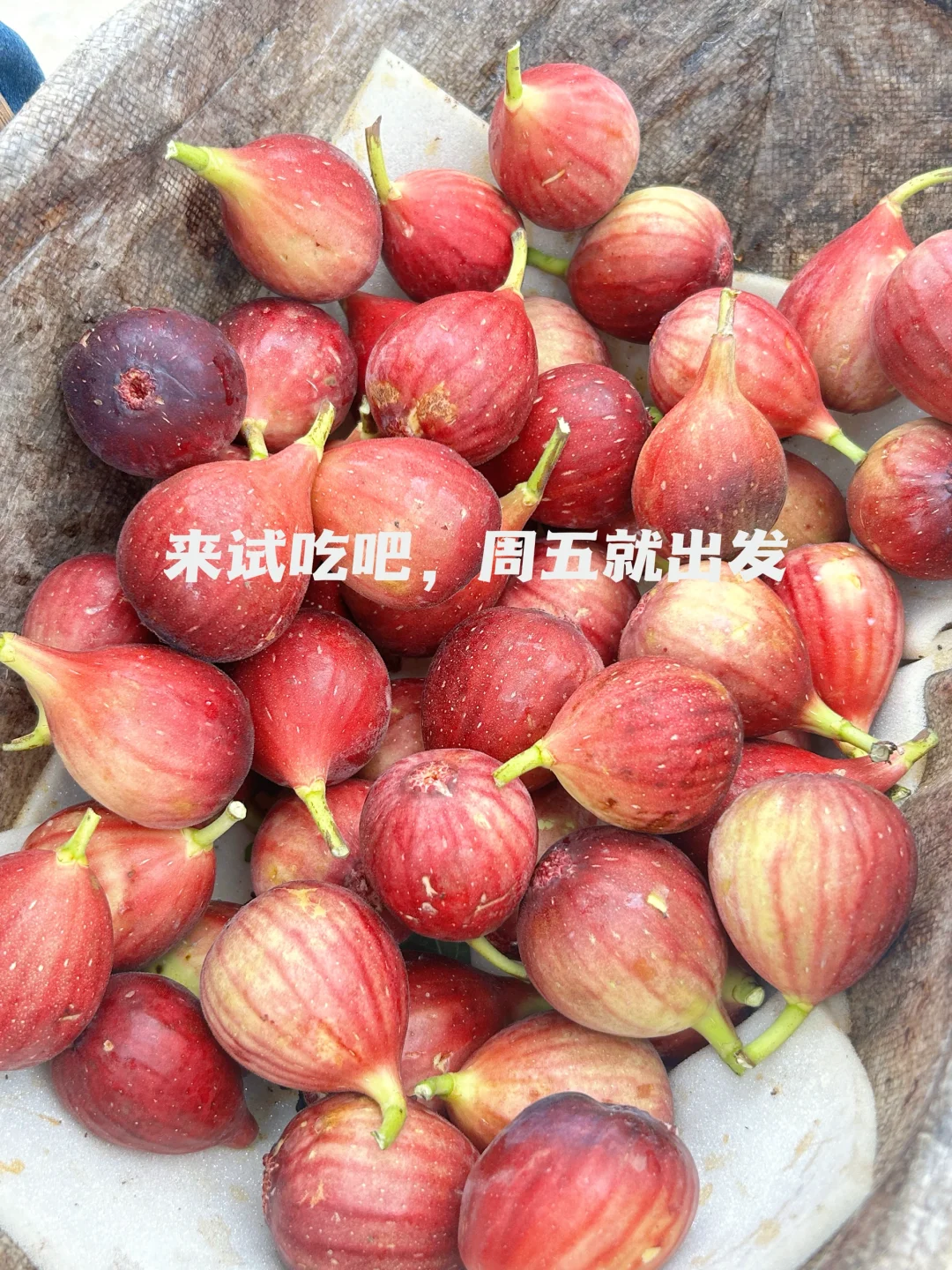 久等了!闪闪免费试吃活动来咯