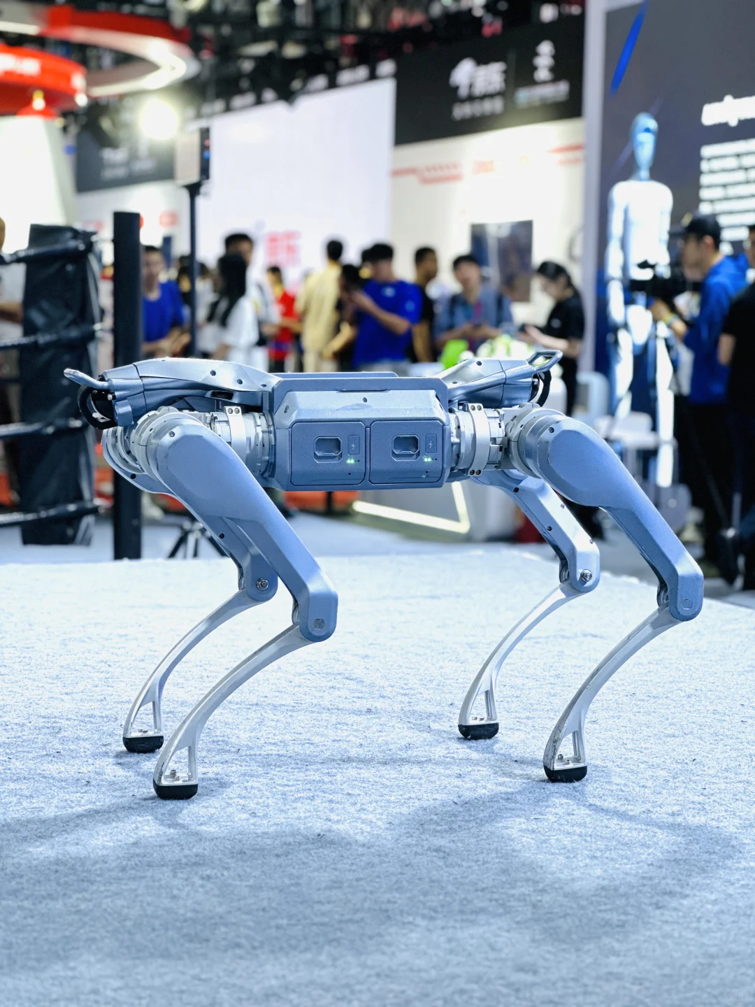 2025世界机器人大会,看这篇就够了❗️