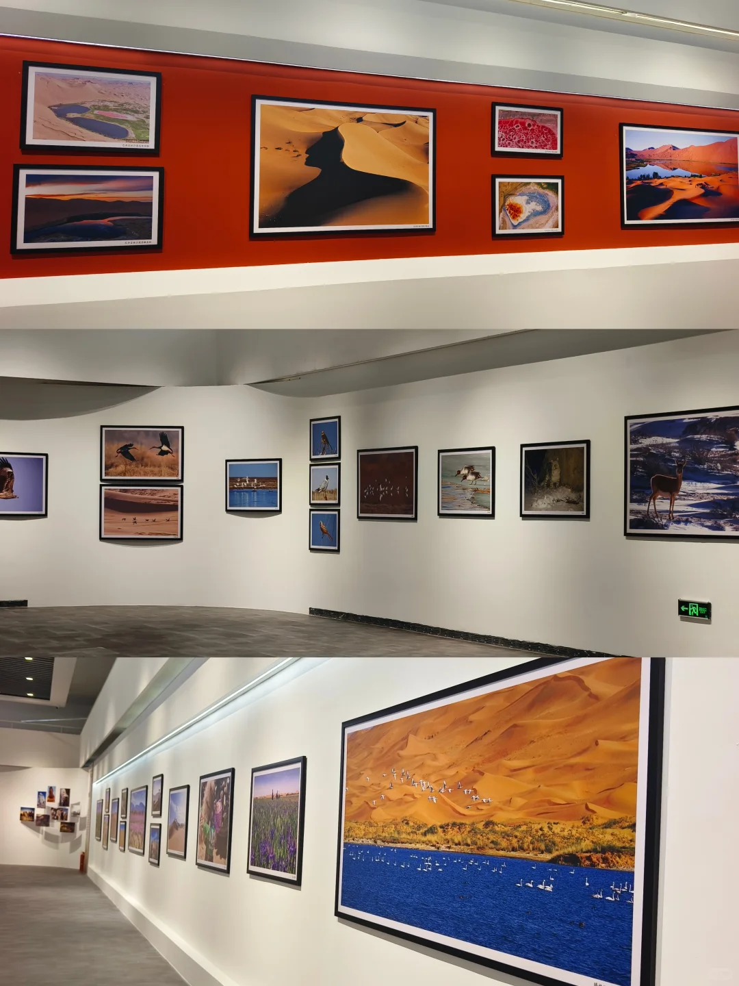 呼市新展?把沙漠地质奇观搬进城市