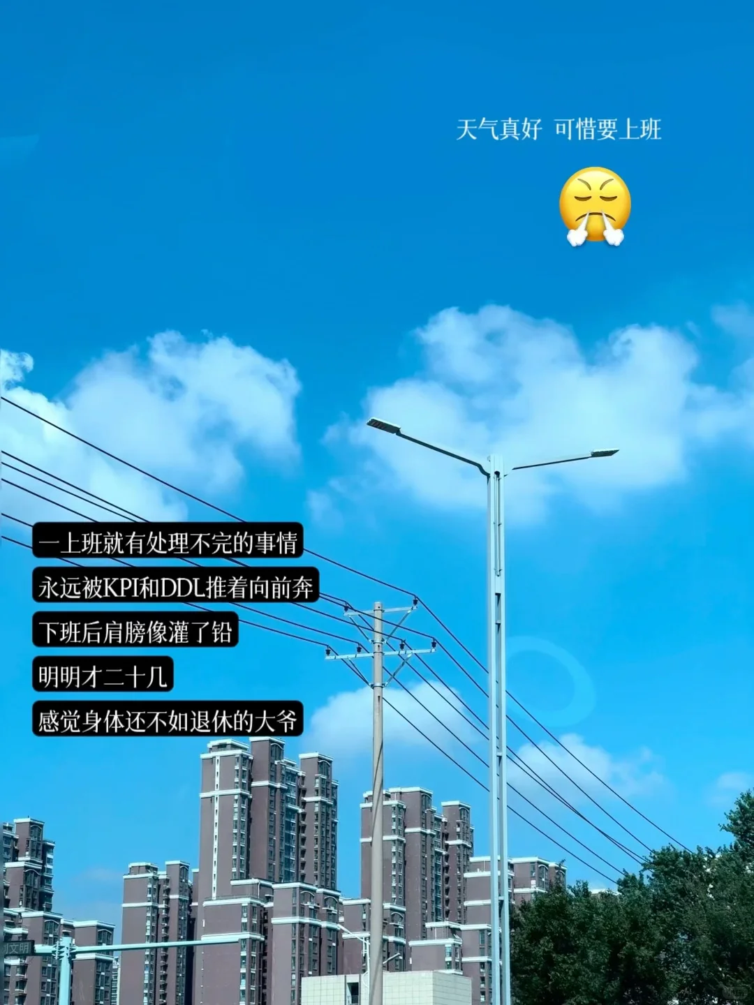 打工日记丨当代脆皮打工人续命养生指南