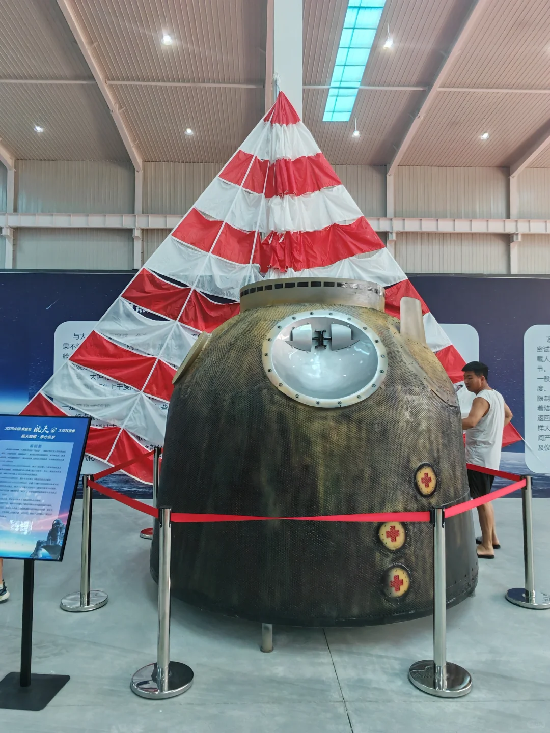本市儿童免费观展,大人49值不?