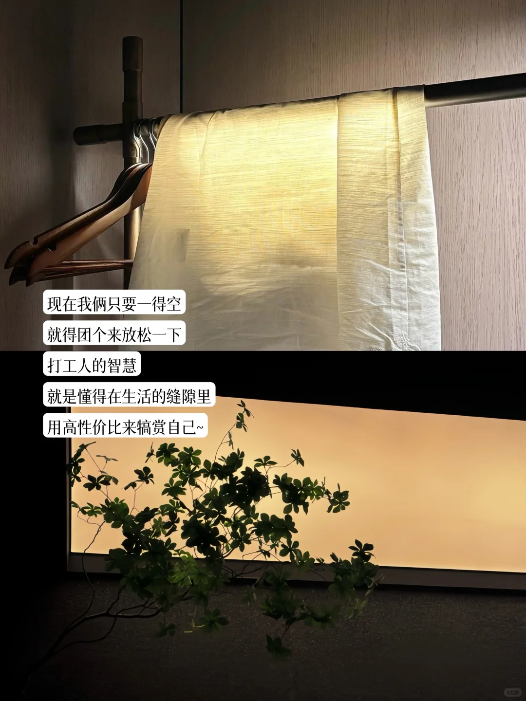 打工日记丨当代脆皮打工人续命养生指南