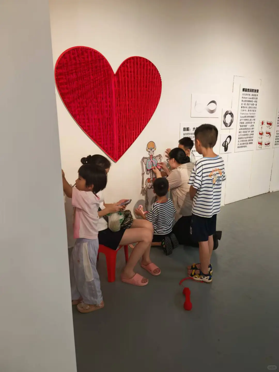 必看!《身体工厂》人体知识科普展海口首展