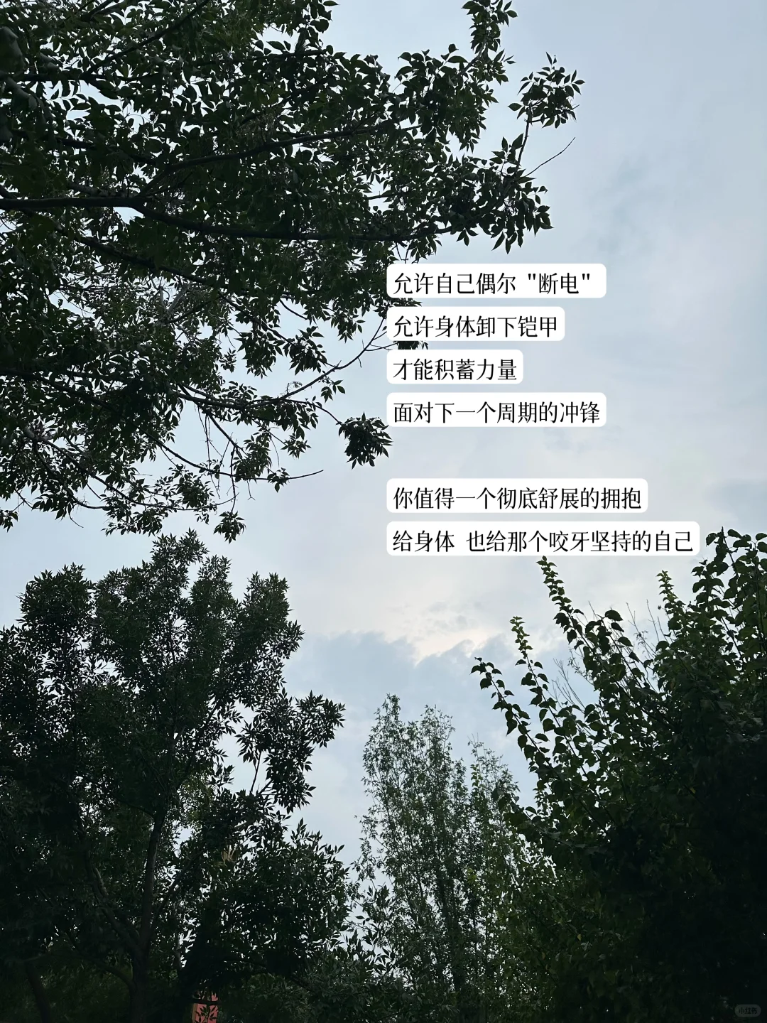打工日记丨当代脆皮打工人续命养生指南
