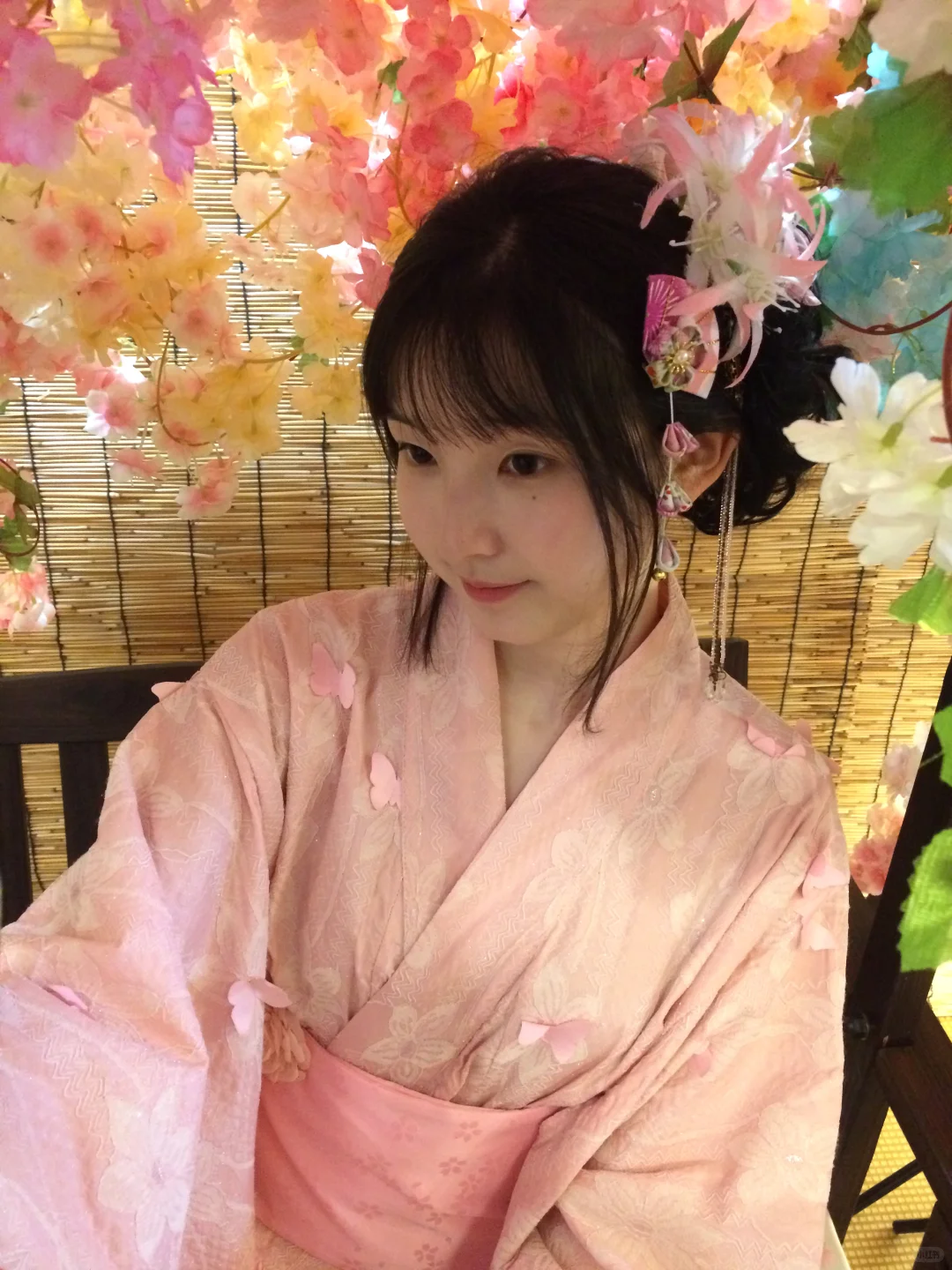 杭州花间绘影和服猫咖攻略