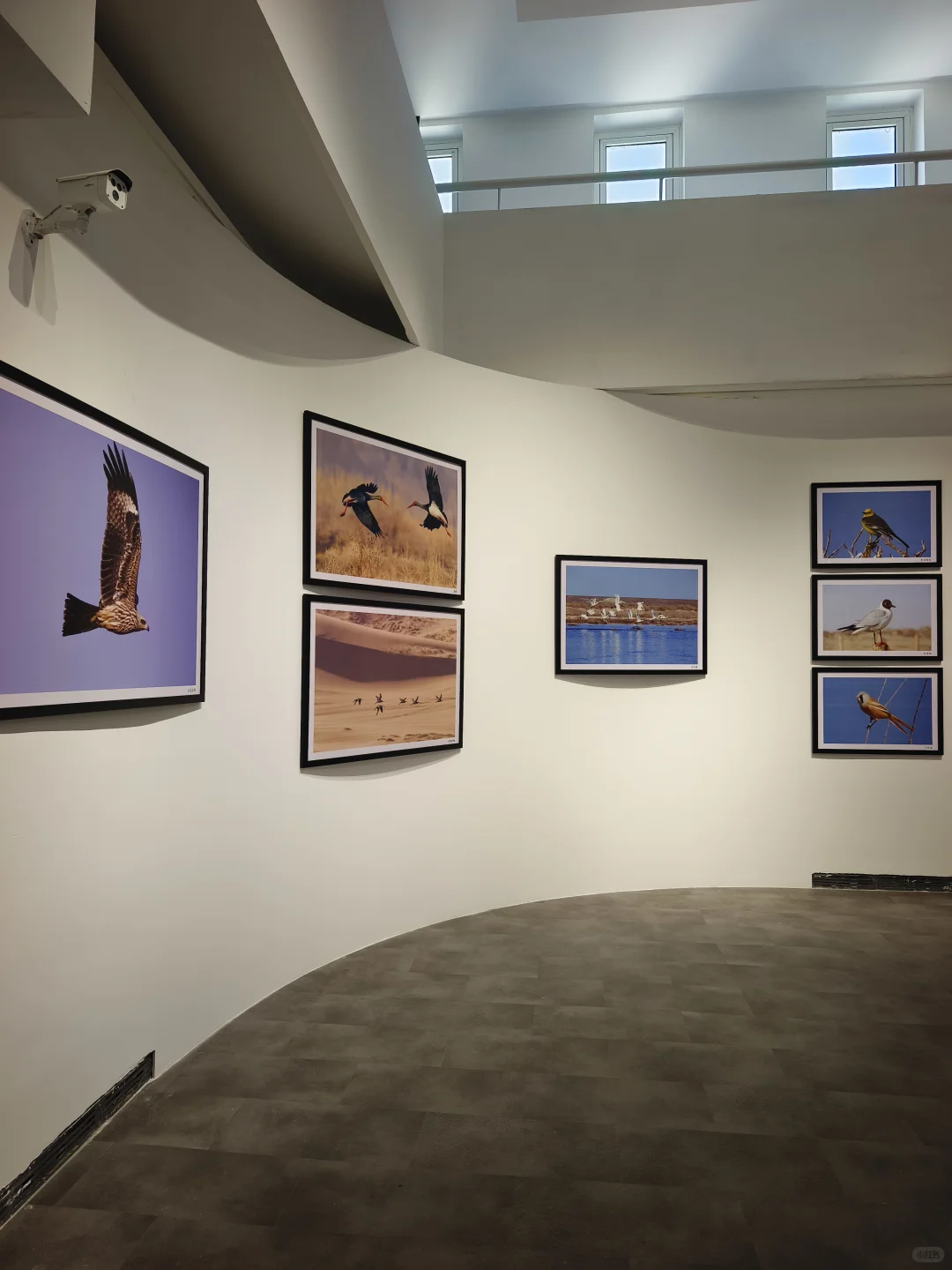 呼市新展?把沙漠地质奇观搬进城市