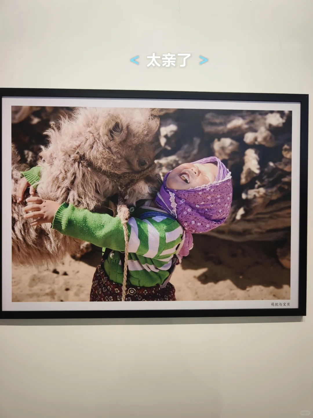 呼市新展?把沙漠地质奇观搬进城市