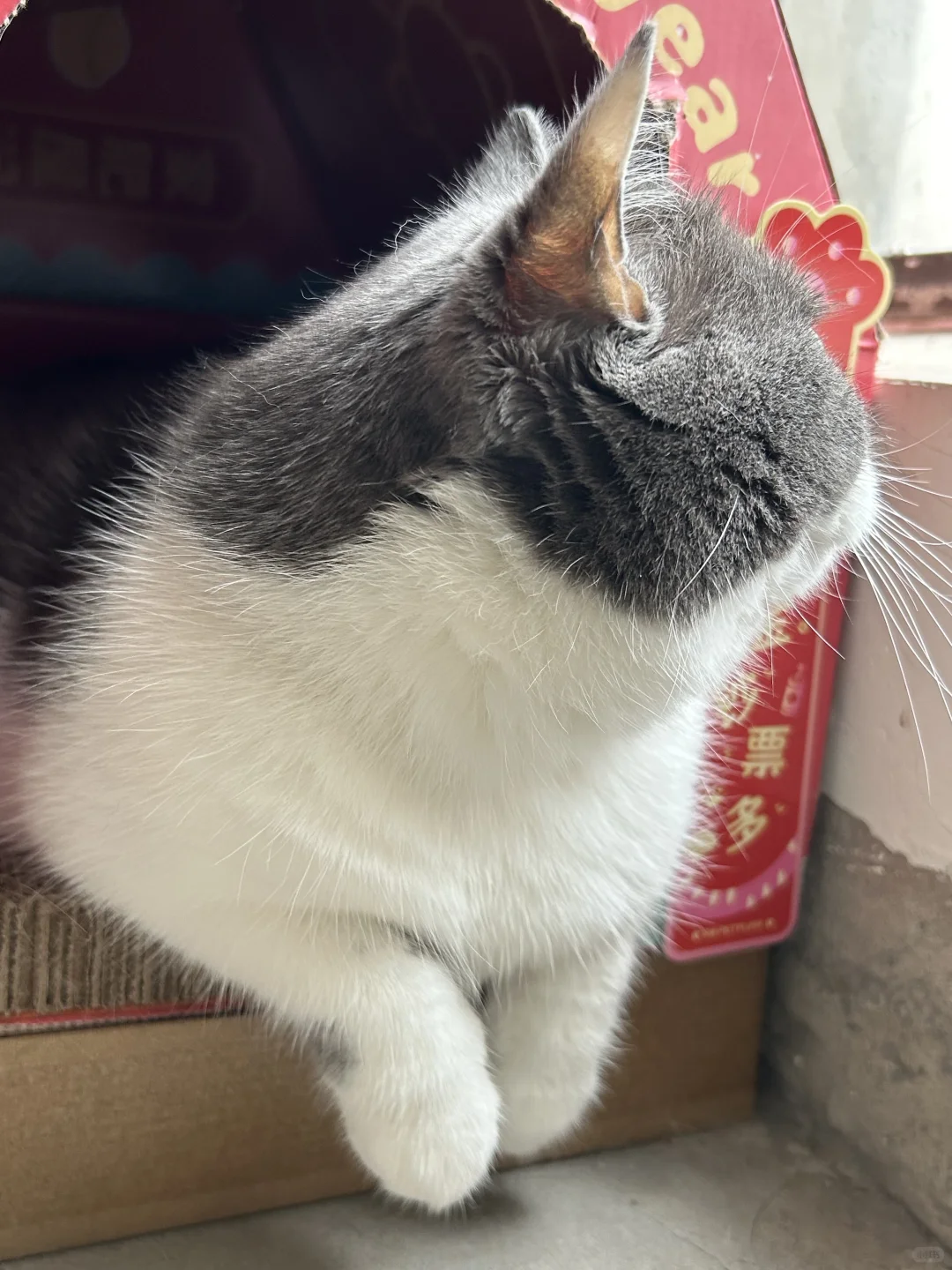 美事滴W1L71(不可编辑)