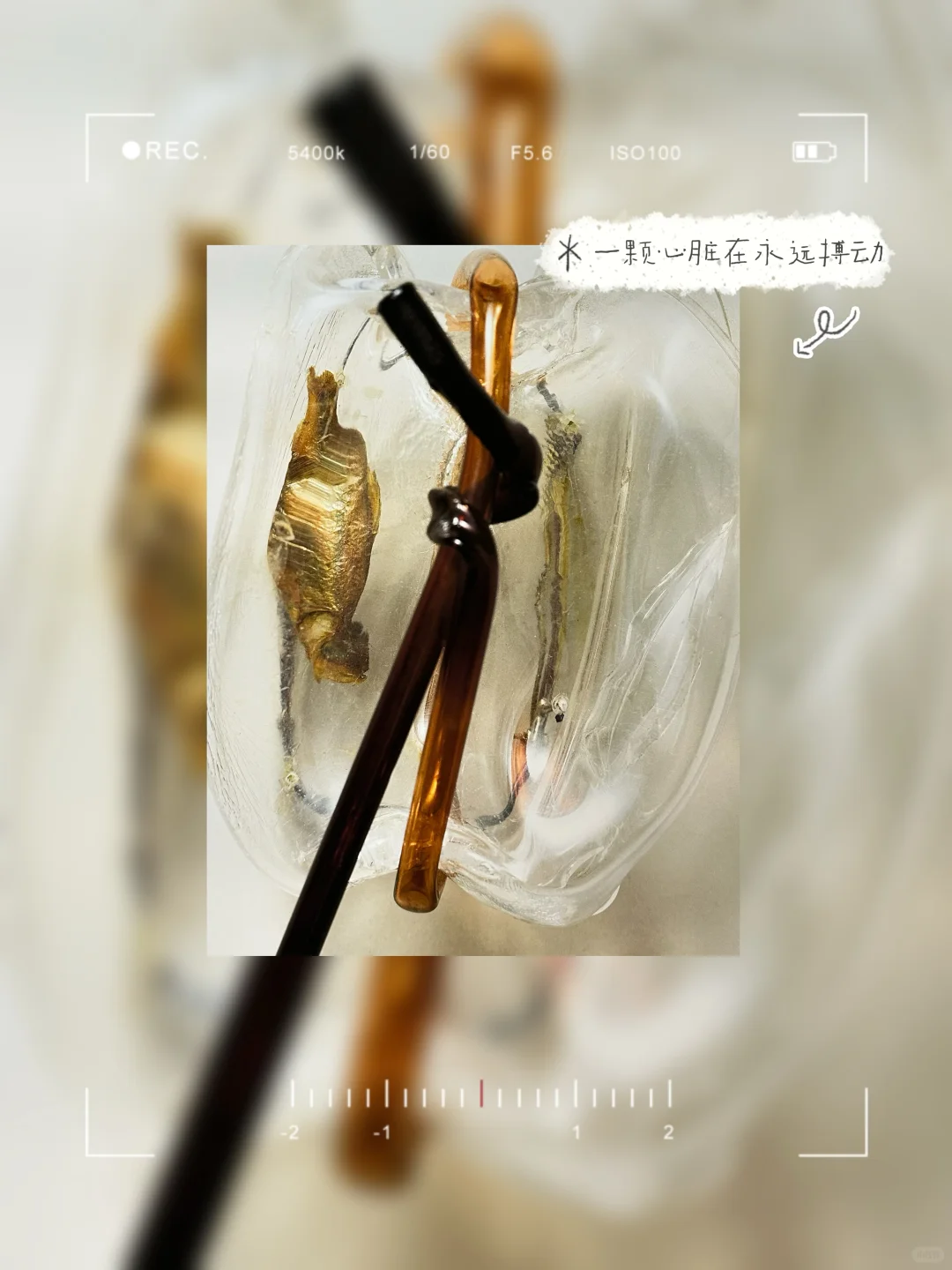 北京工业风新展⛓️！倾听废墟之下的「物之声」