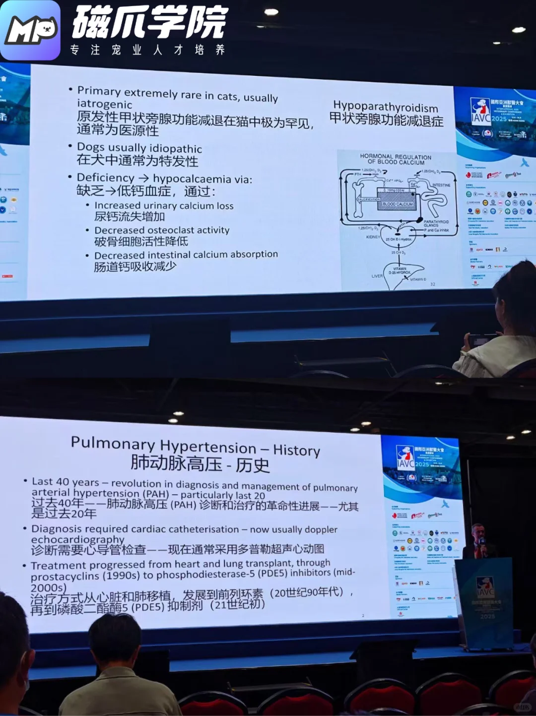 2025 年国际亚洲兽医大会暨展览会
