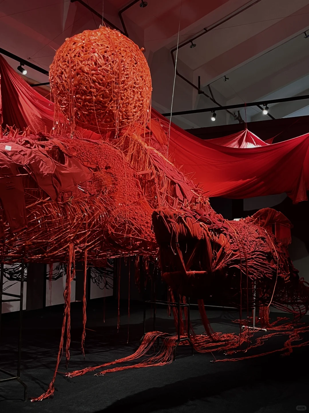 工业博物馆新展｜生态·生命·生机
