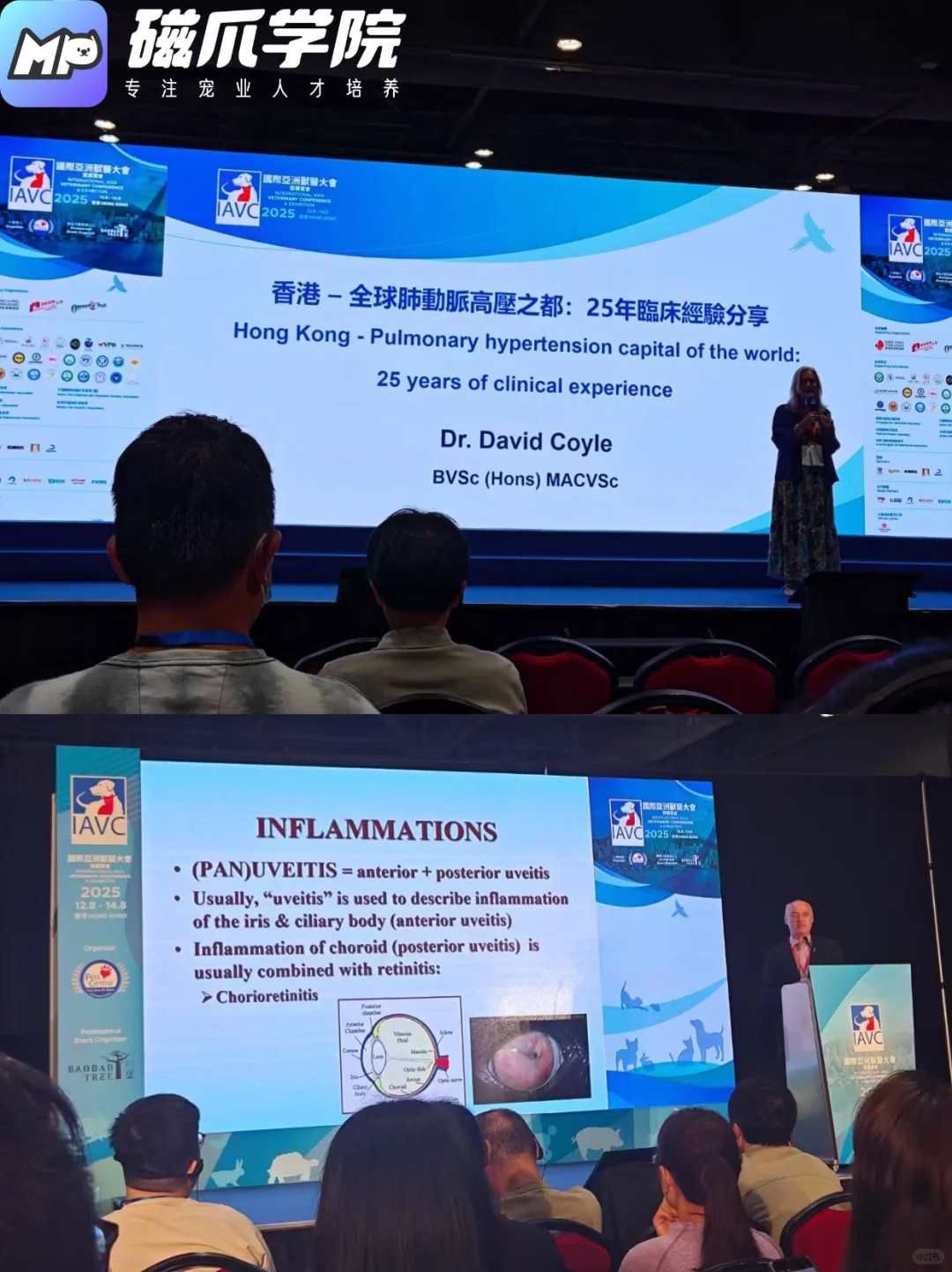 2025 年国际亚洲兽医大会暨展览会