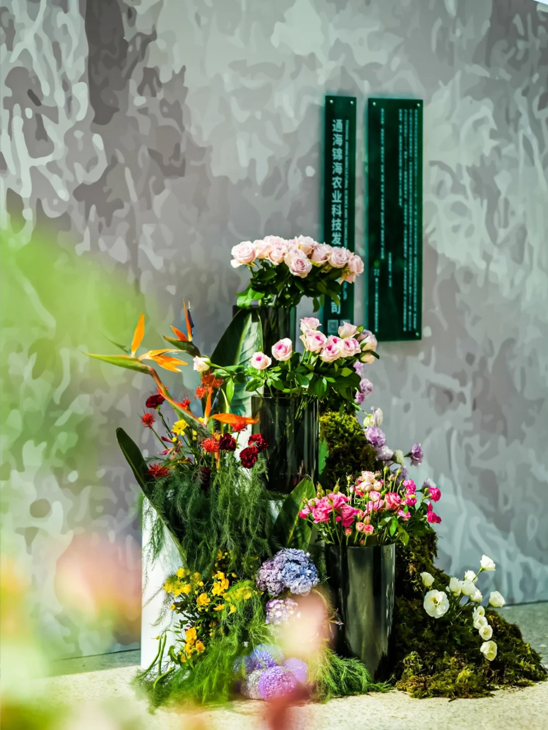 邀你一起去云南看花展?预登记火热报名中?
