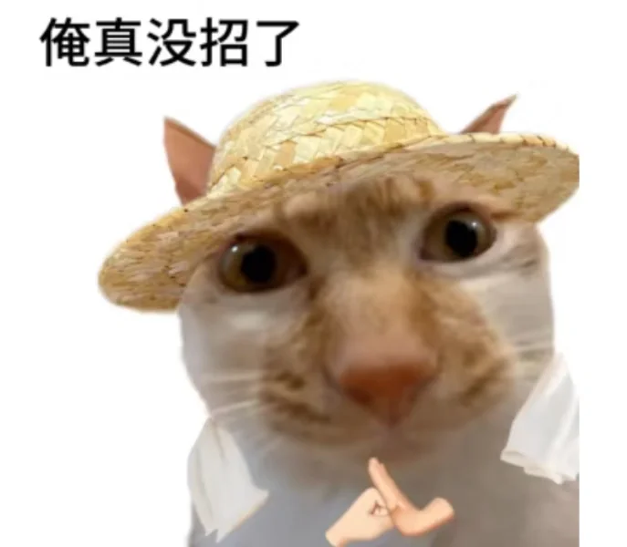 求助｜德国纽伦堡玩具展的展会搭建