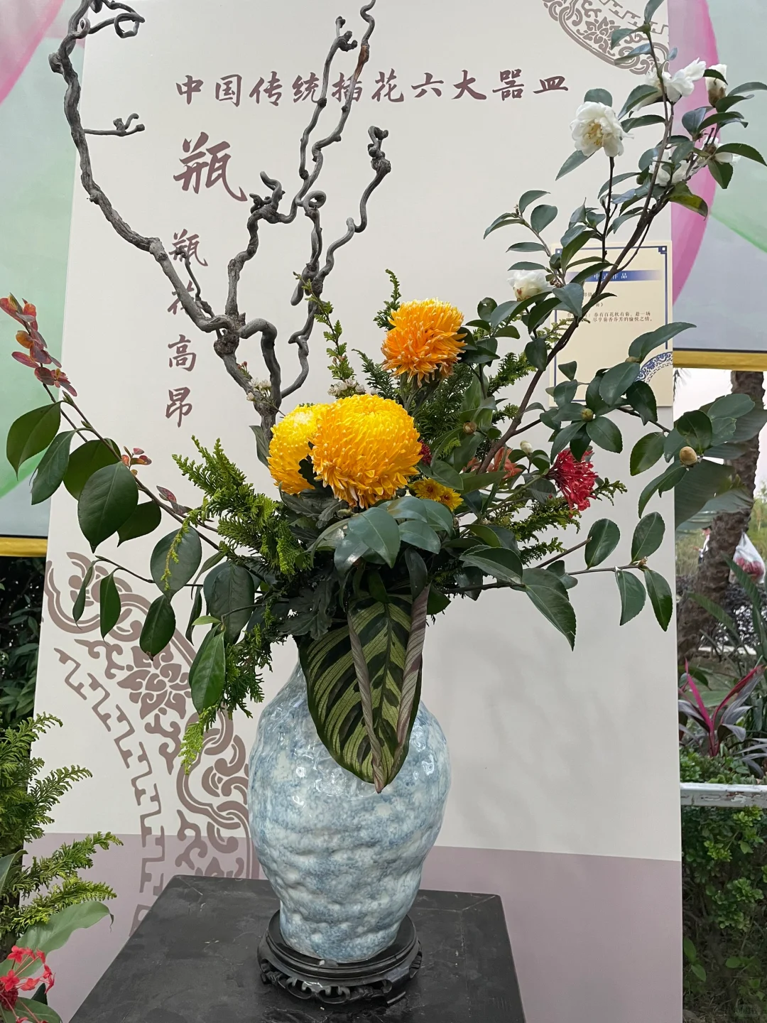 ?50岁阿姨的养花种菜日记 | 享受生活