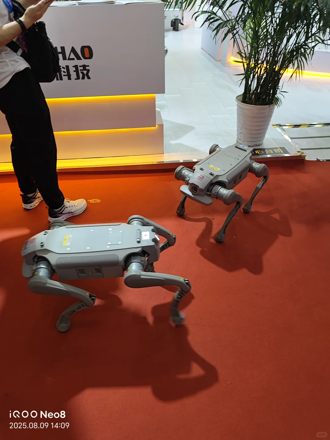 北京溜腿｜2025世界机器人大会