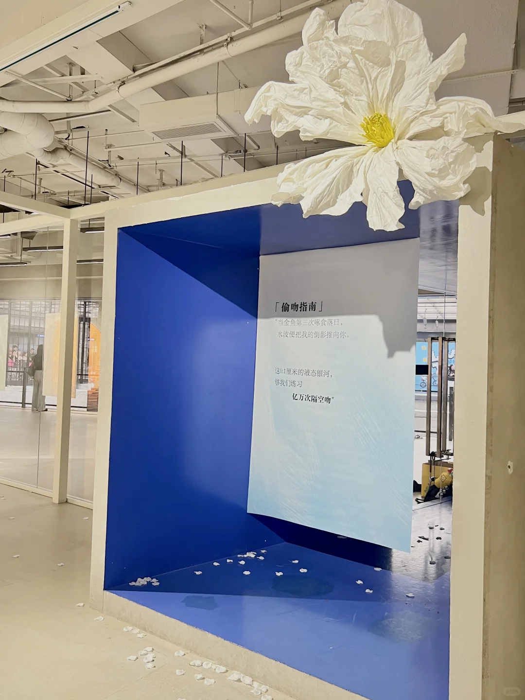 成都8月新展！！jujuju好拍！！！