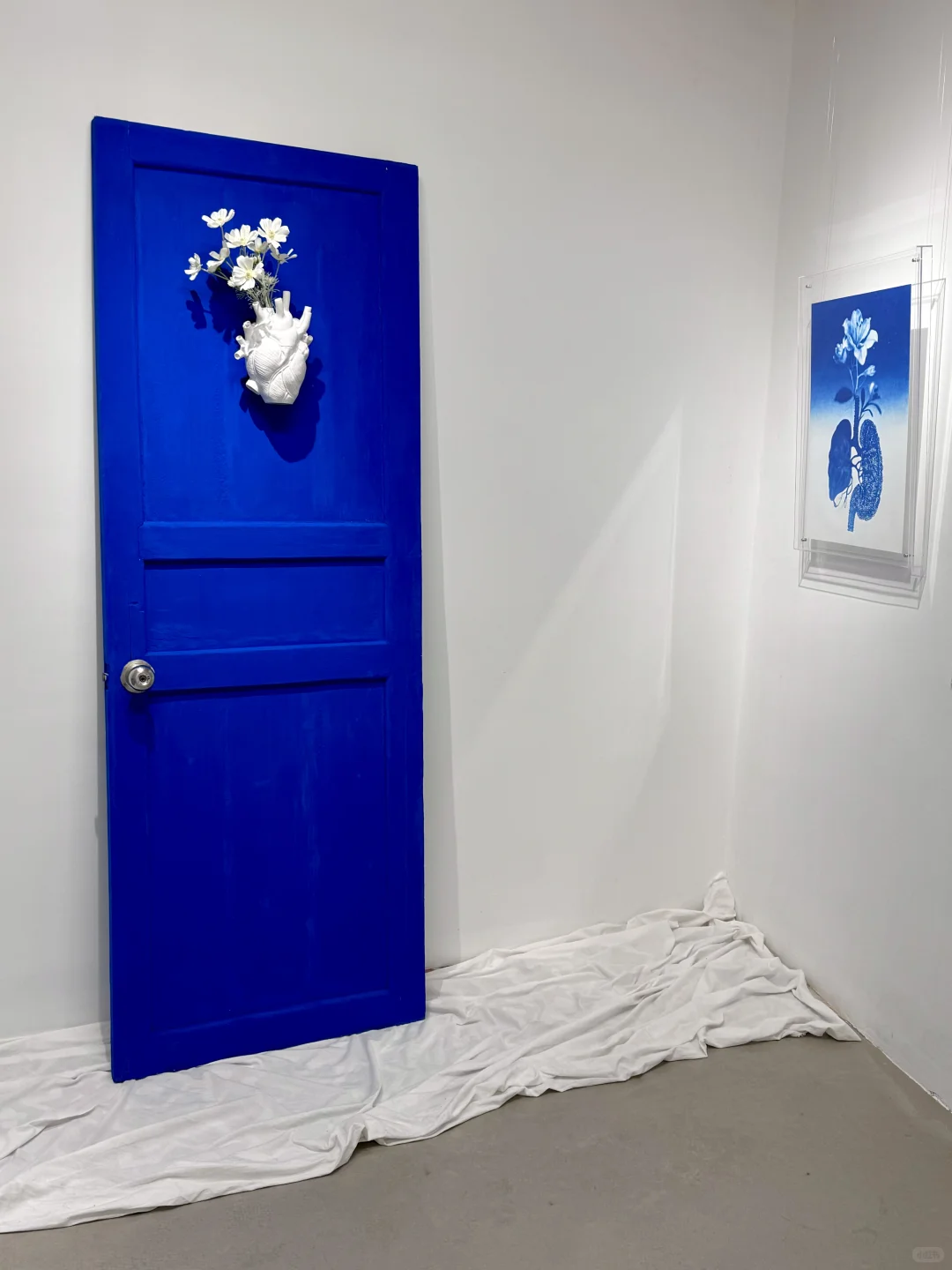 厦门新展 | 「让万物穿过我」?