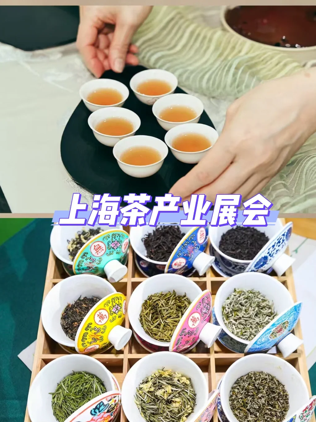 上海8月展会合集｜创业人必看❗️