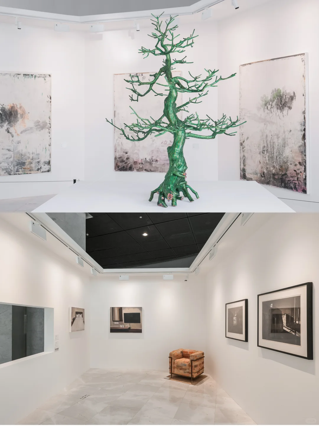 报！八月深圳免费新展！23组作品震撼到...