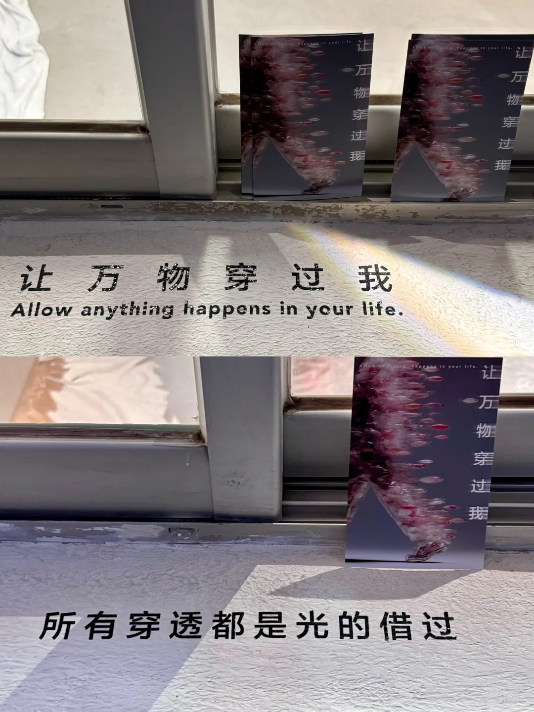 厦门新展 | 「让万物穿过我」?