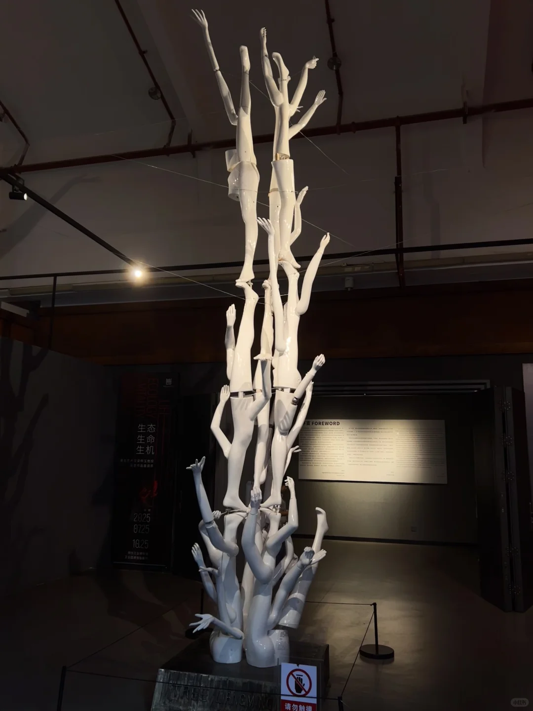 最近看的展