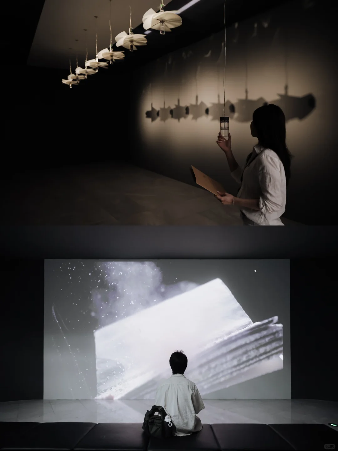 报！八月深圳免费新展！23组作品震撼到...