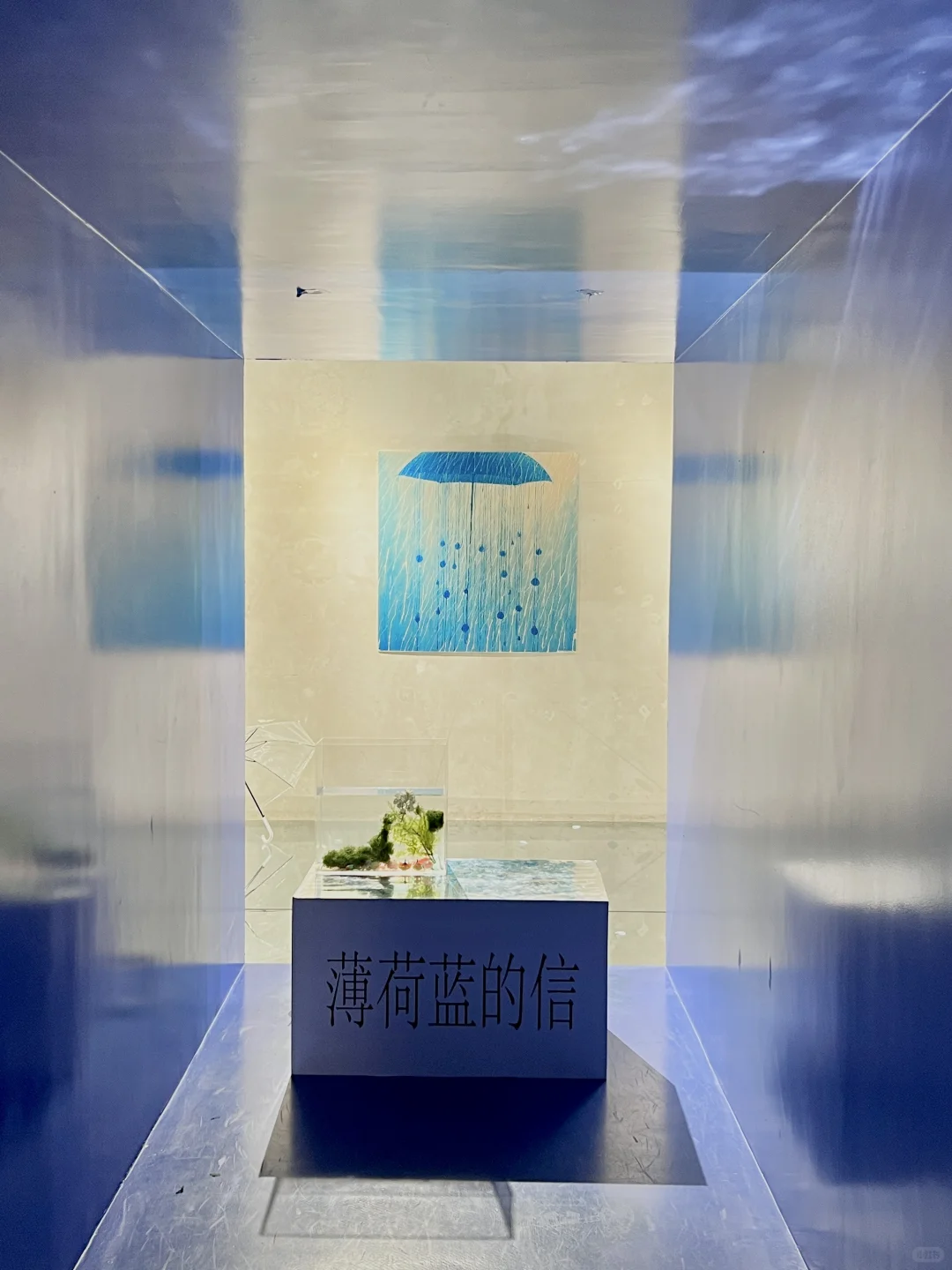 成都8月新展！！jujuju好拍！！！