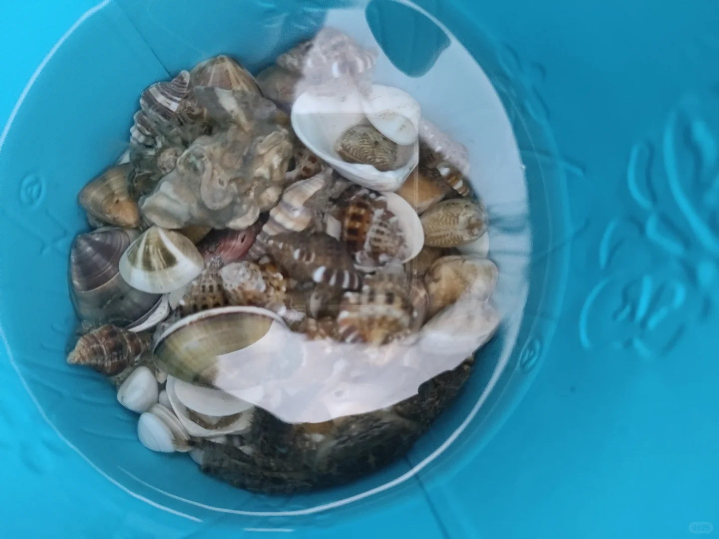 海边小贴士