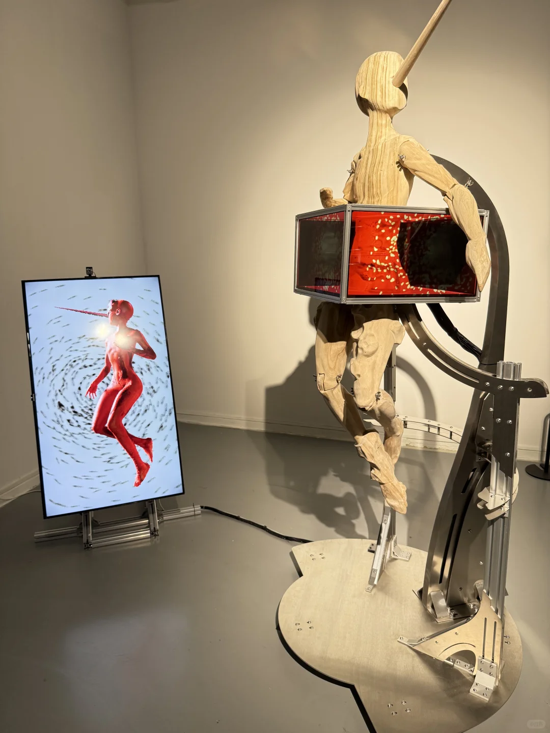 苏州新展|「观」见「视」界|艺术与科技融合