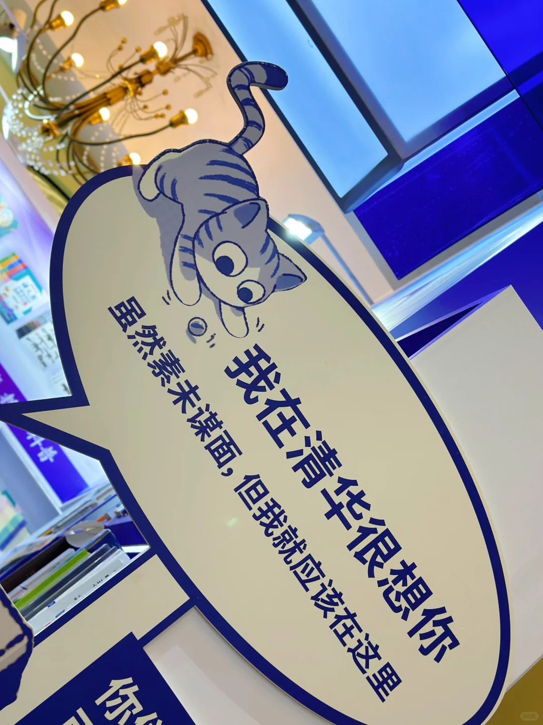 一定要去的展览！上海书展2025