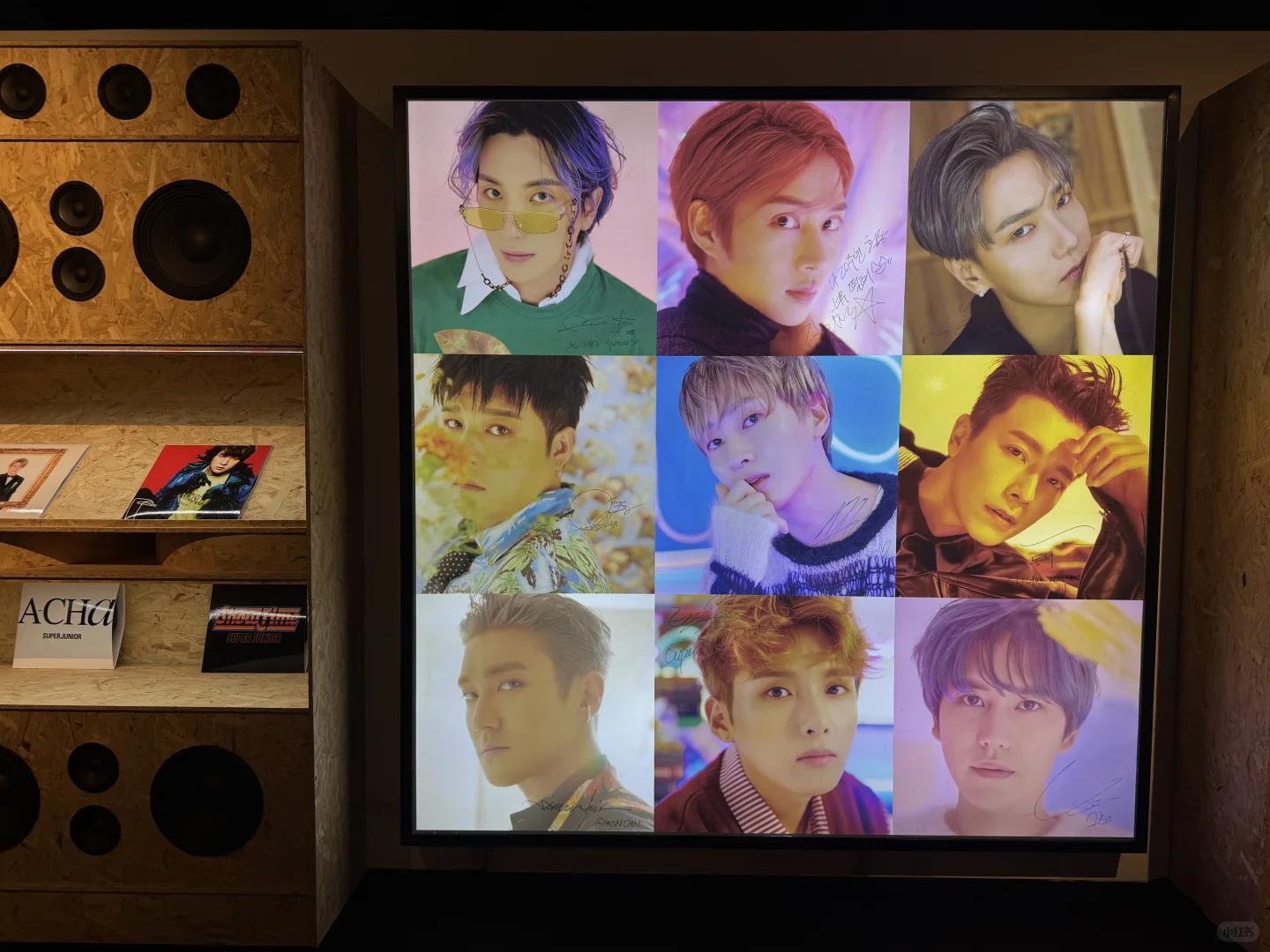 #SJ20th展览会