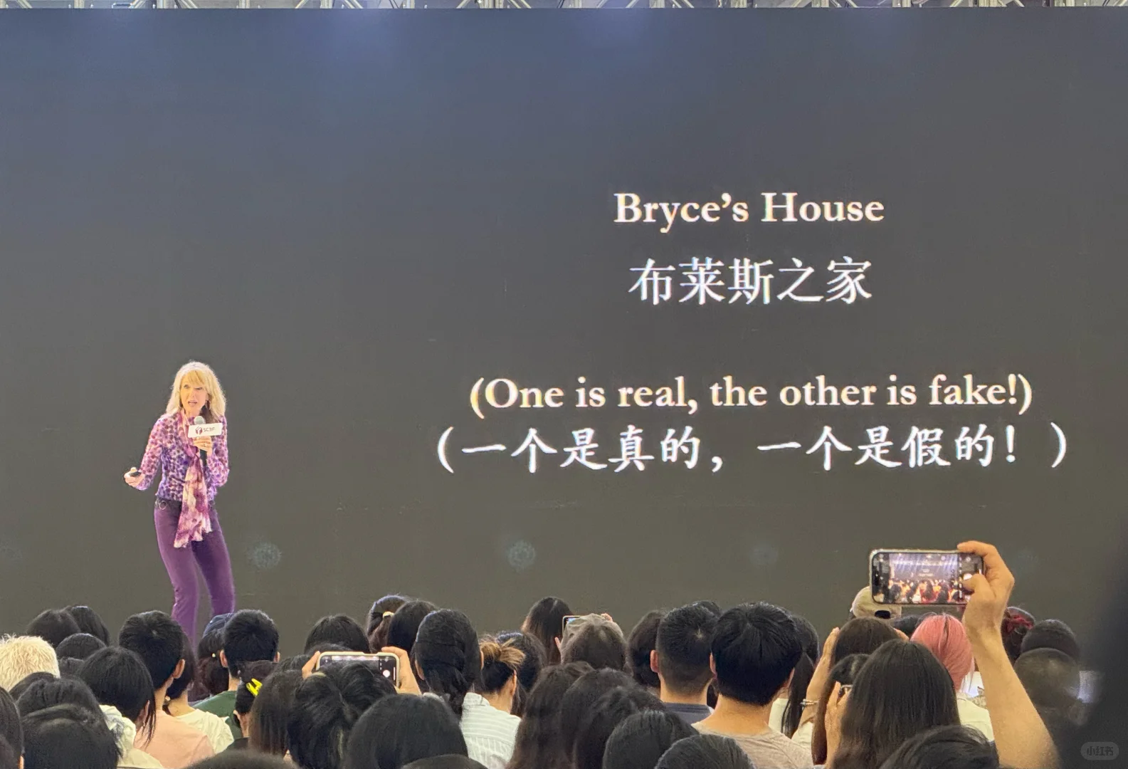 南国书香节 好多看玩的 羊毛也一堆哈