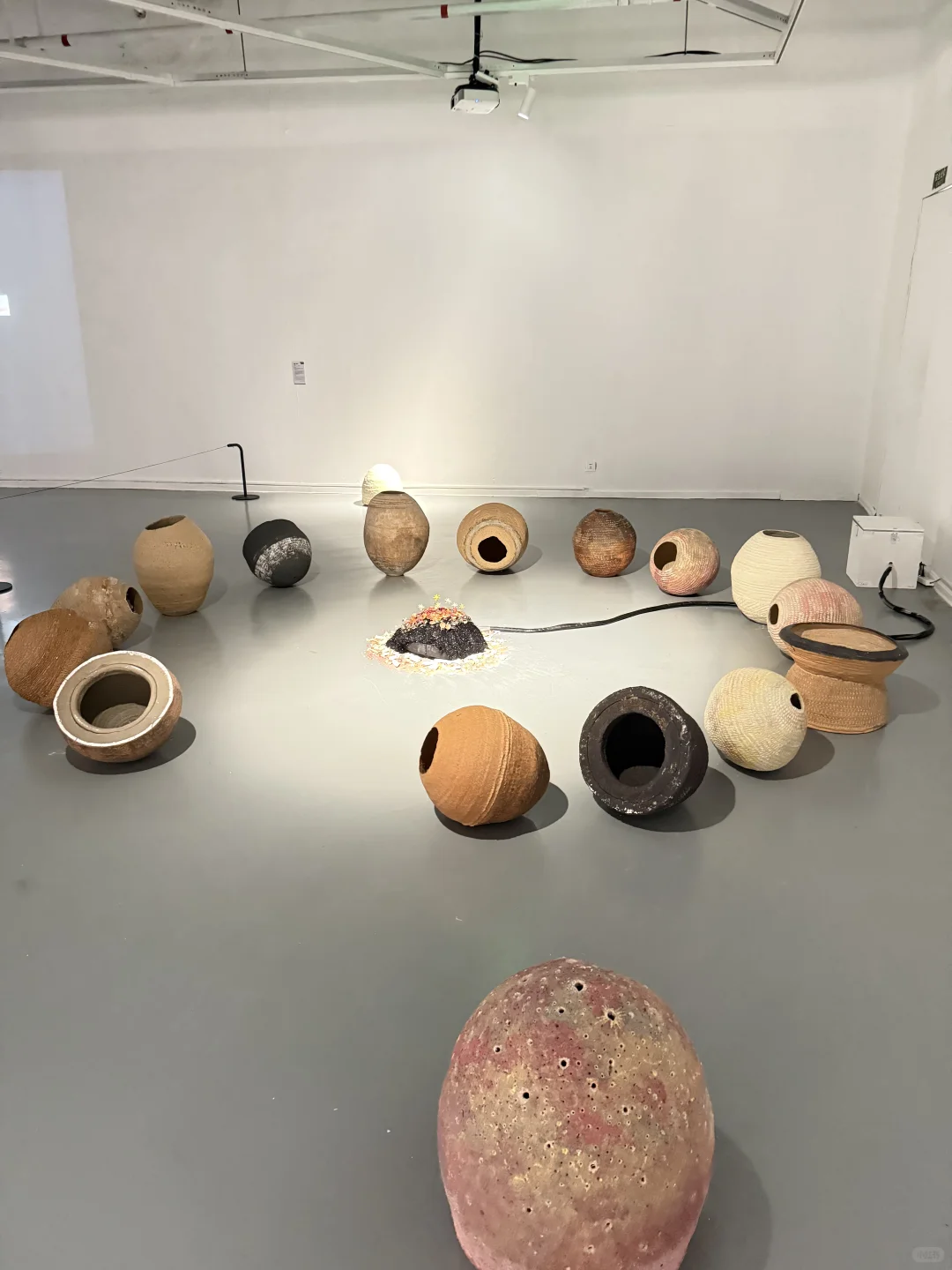 苏州新展|「观」见「视」界|艺术与科技融合